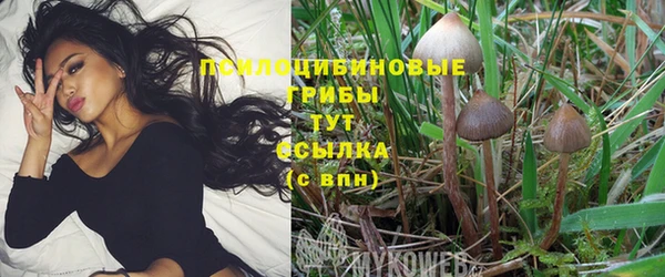 jwh Алексеевка