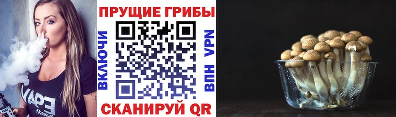 как найти закладки  Россошь  Псилоцибиновые грибы Magic Shrooms 